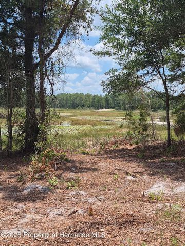 7149 Alloy Street, Webster, FL 33597
