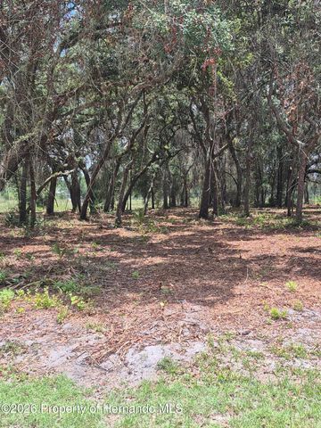 7149 Alloy Street, Webster, FL 33597
