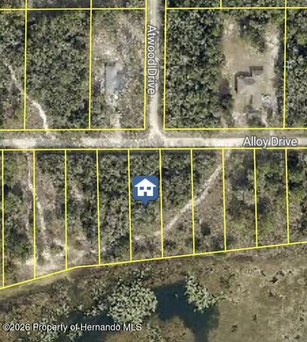 7149 Alloy Street, Webster, FL 33597