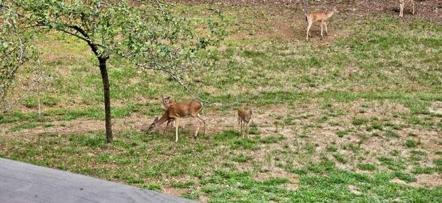 582 Temple Draketown Road, Temple, GA 30179