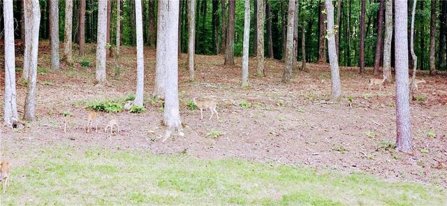 582 Temple Draketown Road, Temple, GA 30179