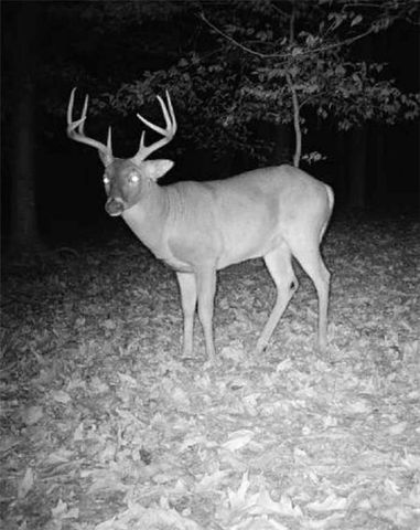 582 Temple Draketown Road, Temple, GA 30179