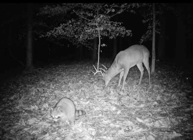 582 Temple Draketown Road, Temple, GA 30179