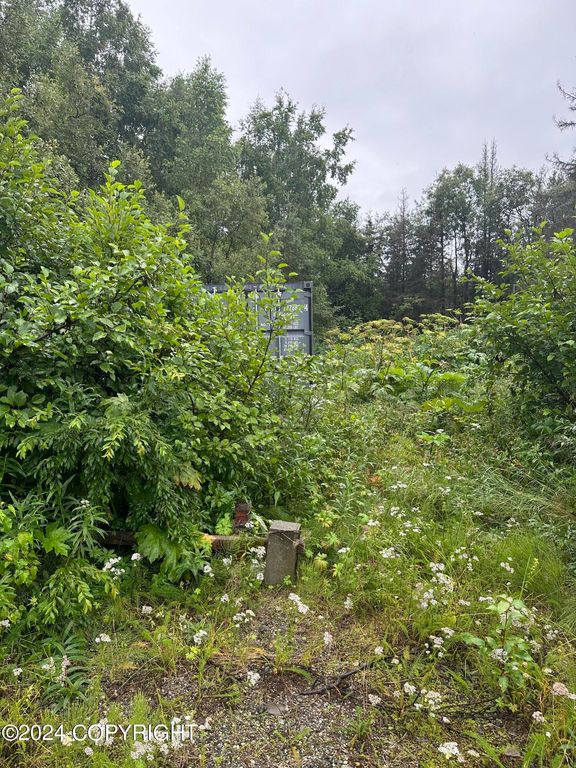 13128 W Purches Creek Road, Willow, AK 99688