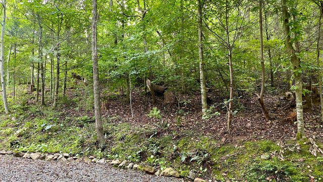 Lot 28 Walden Cove Way, Sevierville, TN 37862