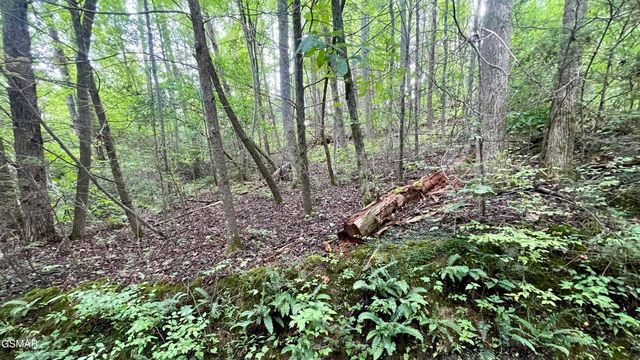 Lot 28 Walden Cove Way, Sevierville, TN 37862