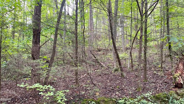 Lot 28 Walden Cove Way, Sevierville, TN 37862