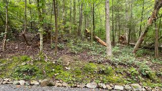 Lot 28 Walden Cove Way, Sevierville, TN 37862