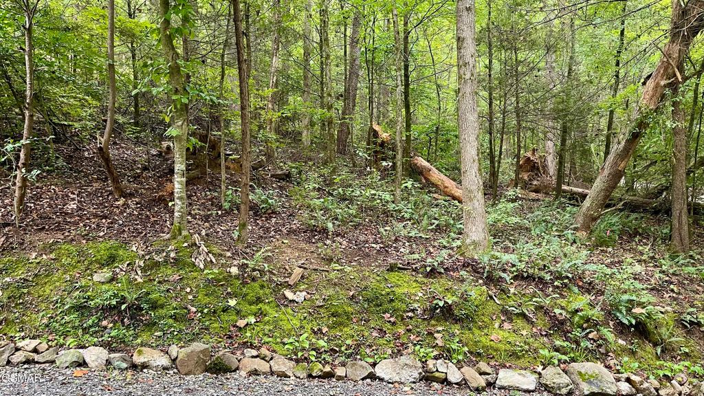 Lot 28 Walden Cove Way, Sevierville, TN 37862