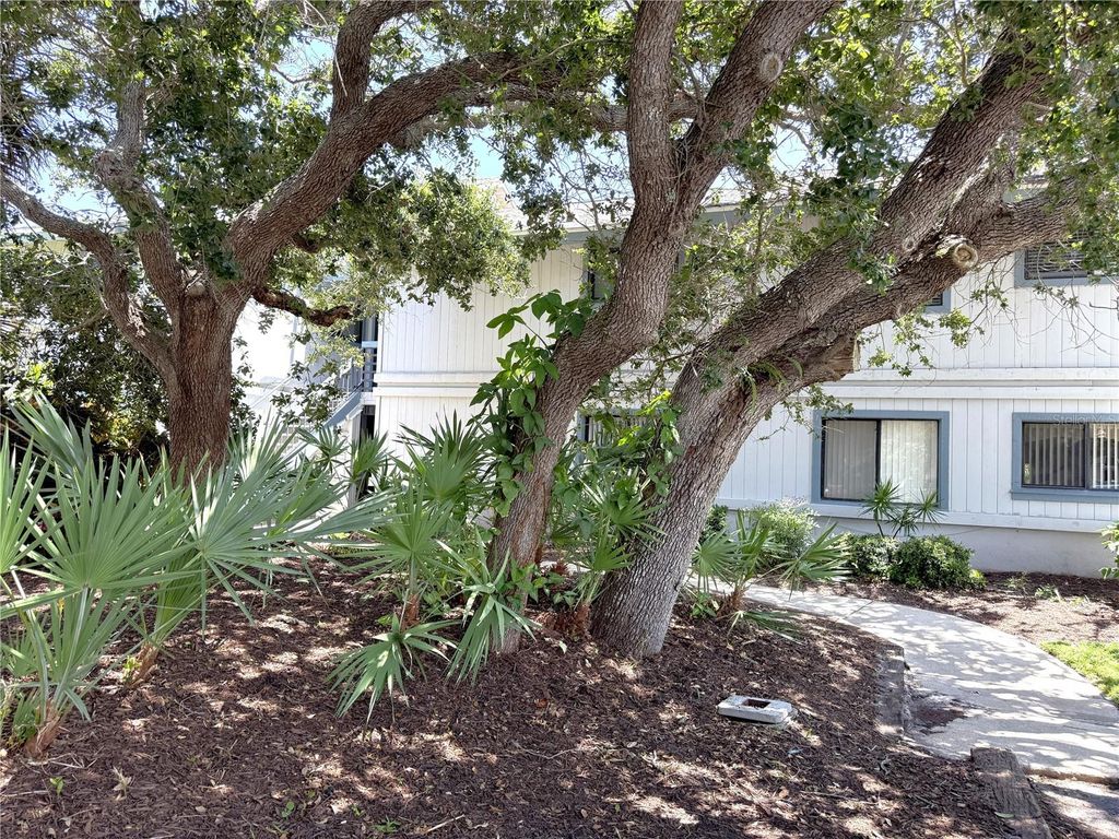 Image 41 of property listing at 4405 SEA MIST DRIVE 114, New Smyrna Beach, FL 32169