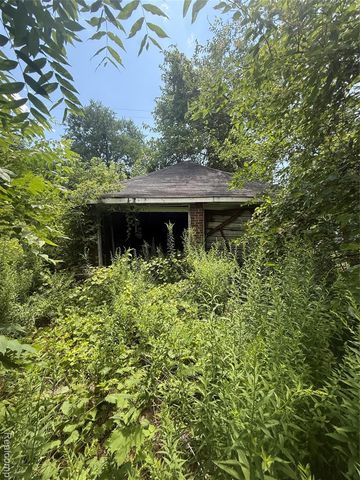 10974 Wilshire Drive, Detroit, MI 48213