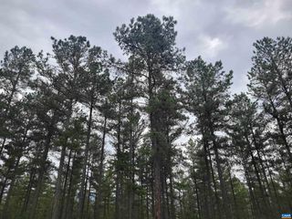 5 PINEY MOUNTAIN DR 5, Palmyra, VA 22963