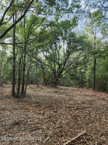 Parcel 3 Shiyou Road, Pass Christian, MS 39571