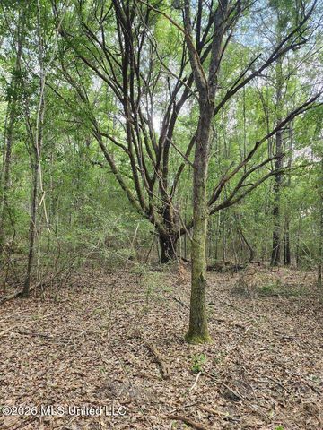 Parcel 3 Shiyou Road, Pass Christian, MS 39571
