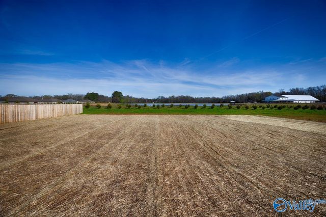 15091 Evans Road, Athens, AL 35611