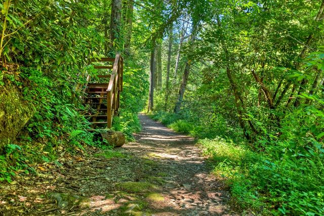 510 Gallery Court, Ellijay, GA 30540