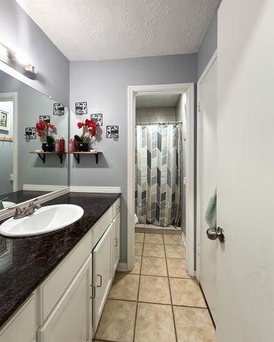 13327 Gaby Virbo Drive, Houston, TX 77083