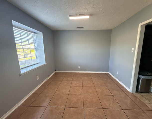 13327 Gaby Virbo Drive, Houston, TX 77083