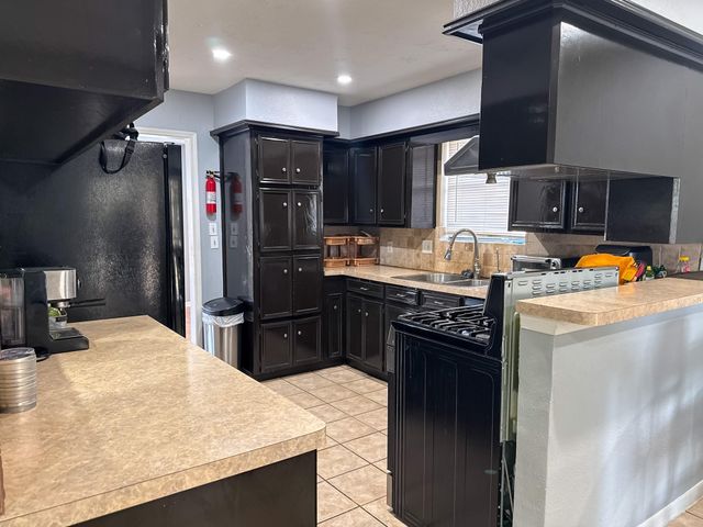 13327 Gaby Virbo Drive, Houston, TX 77083