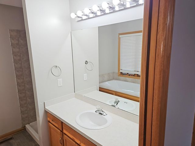 13788 Goldenrod Street NW, Andover, MN 55304
