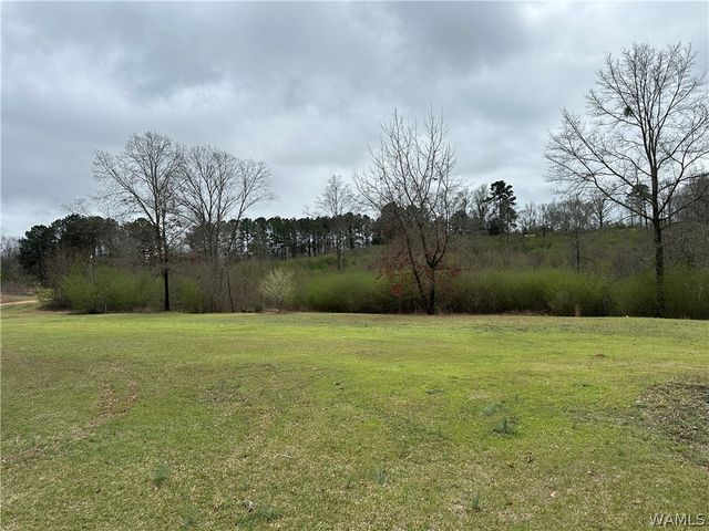 577 James Road, Gordo, AL 35466