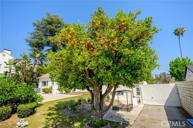 1635 Grandview Avenue, Glendale, CA 91201