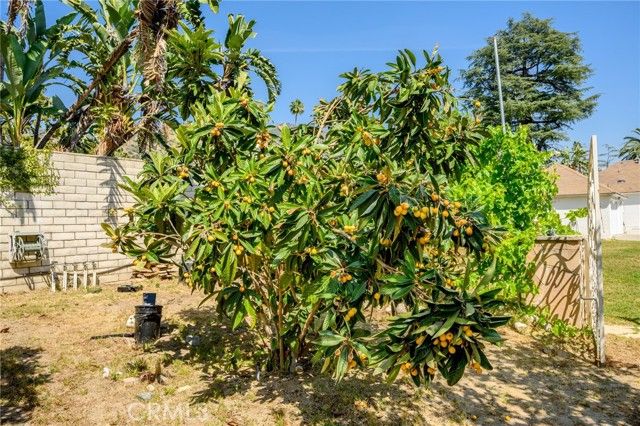 1635 Grandview Avenue, Glendale, CA 91201