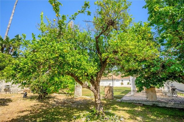 1635 Grandview Avenue, Glendale, CA 91201