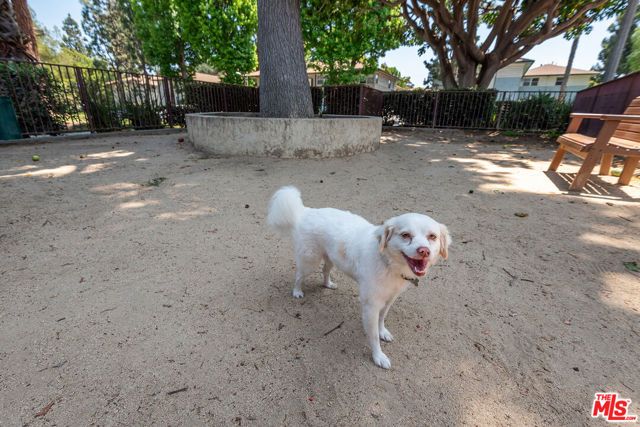 3641 Kalsman Drive 4, Los Angeles, CA 90016