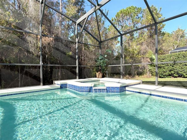 287 SANDY RIDGE DRIVE, Davenport, FL 33896