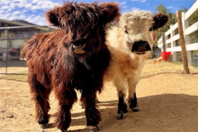 22053 Highland Street, Wildomar, CA 92595