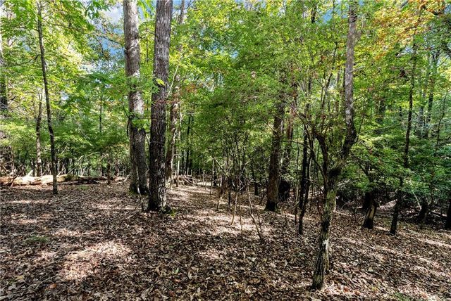 133 Stamp Mill Drive, Dahlonega, GA 30533