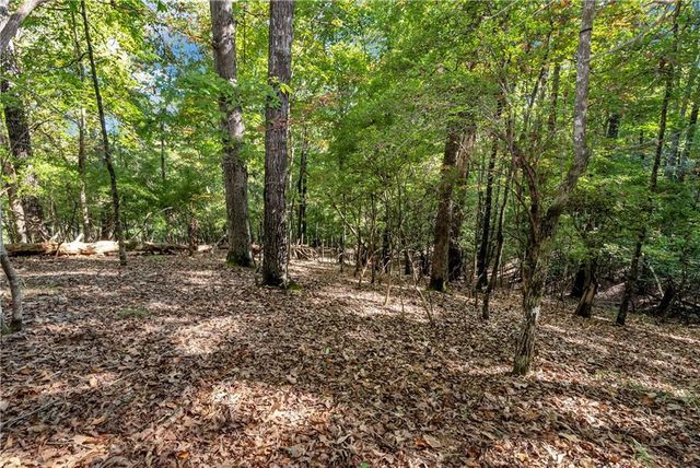 133 Stamp Mill Drive, Dahlonega, GA 30533