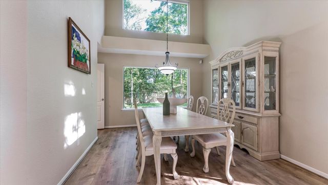 10 Owls Cove Place, The Woodlands, TX 77382