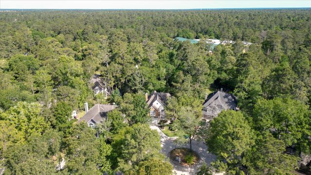 10 Owls Cove Place, The Woodlands, TX 77382