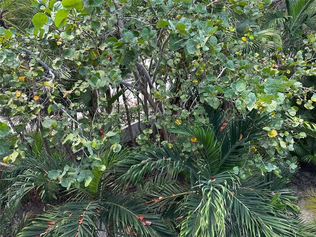 55 Ocean Lane Dr 4020, Key Biscayne, FL 33149