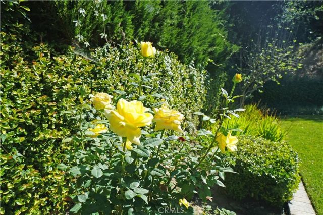 5816 Carell Avenue, Agoura Hills, CA 91301