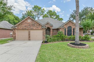 15002 Chestnut Falls Drive, Cypress, TX 77433