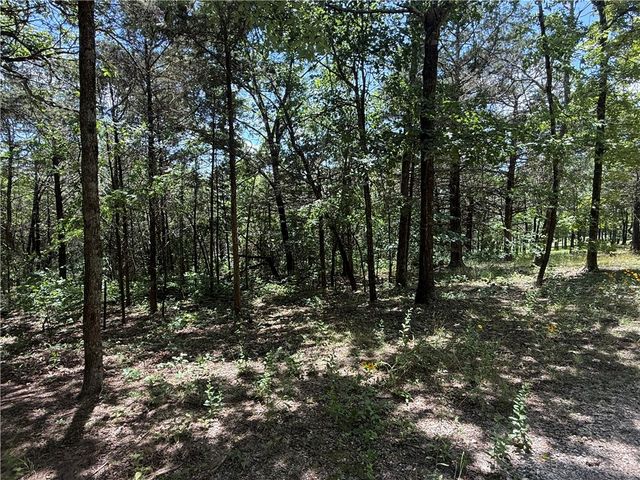 401 CR 246, Berryville, AR 72616