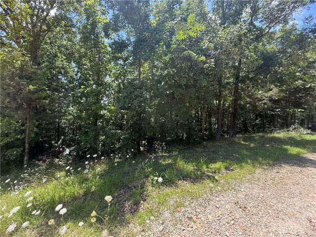 401 CR 246, Berryville, AR 72616