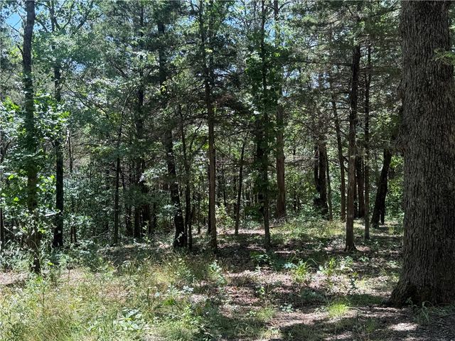 401 CR 246, Berryville, AR 72616
