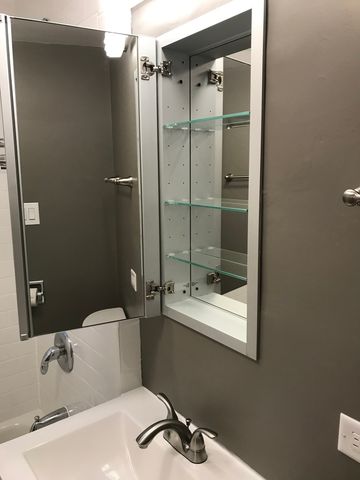 3136 N Paulina Street 2, Chicago, IL 60657