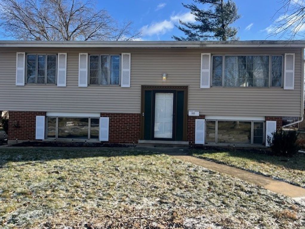 313 Jackson Street, Park Forest, IL 60466