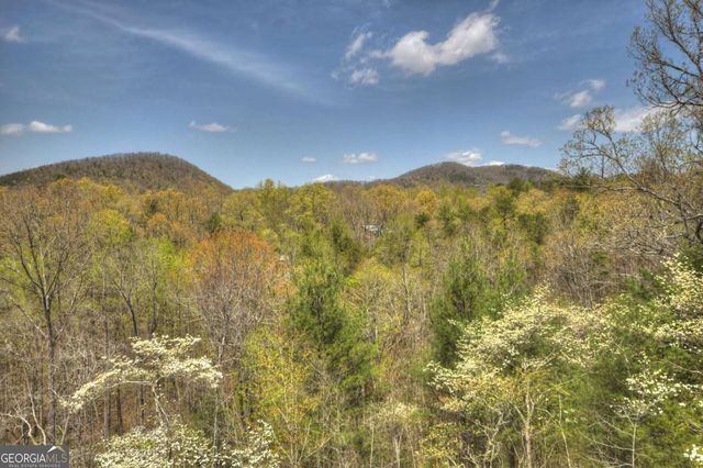 220 Lakota Lane, Mineral Bluff, GA 30559