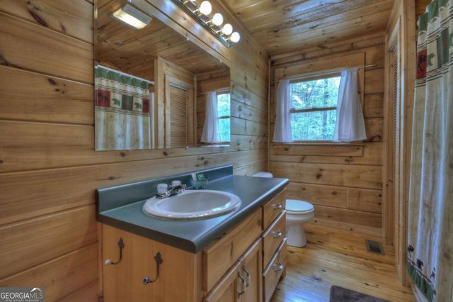 220 Lakota Lane, Mineral Bluff, GA 30559