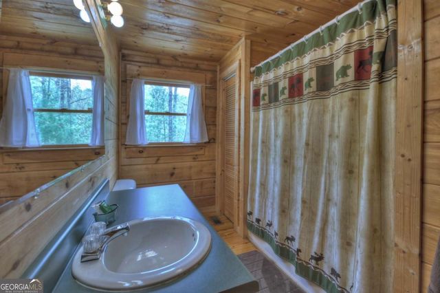 220 Lakota Lane, Mineral Bluff, GA 30559