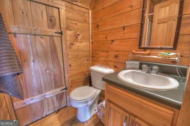 220 Lakota Lane, Mineral Bluff, GA 30559