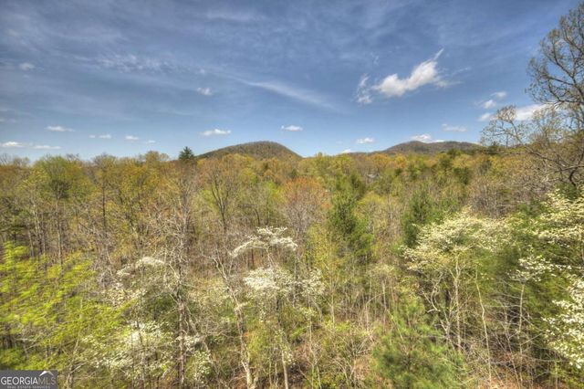 220 Lakota Lane, Mineral Bluff, GA 30559