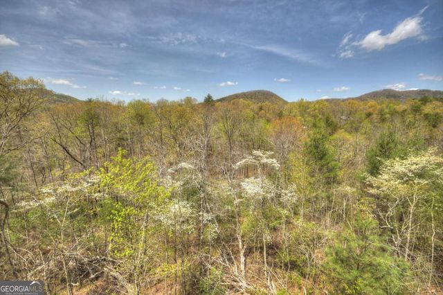 220 Lakota Lane, Mineral Bluff, GA 30559