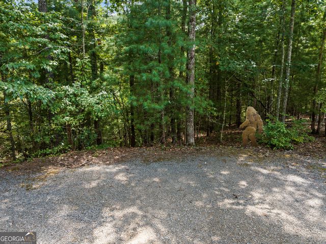 220 Lakota Lane, Mineral Bluff, GA 30559